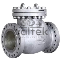 L&T Check Valve